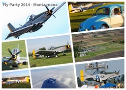 Fly party 2014