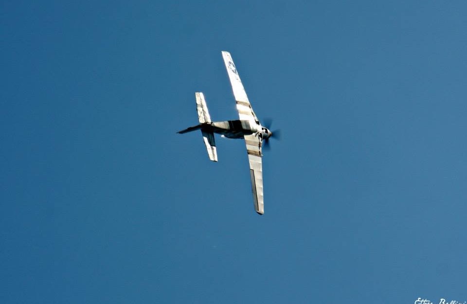 IMG 0008.jpg