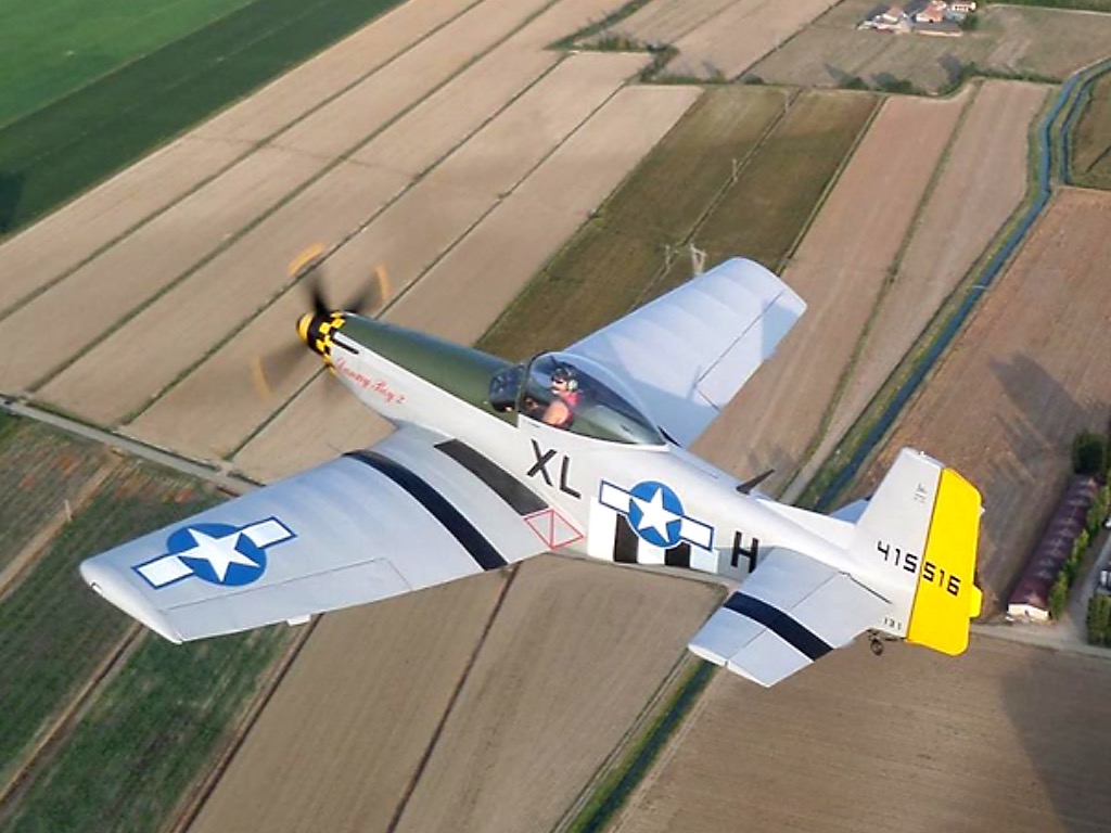 Mustang in flight - Marco Vecchia